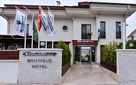 Blueberry Boutique Hotel